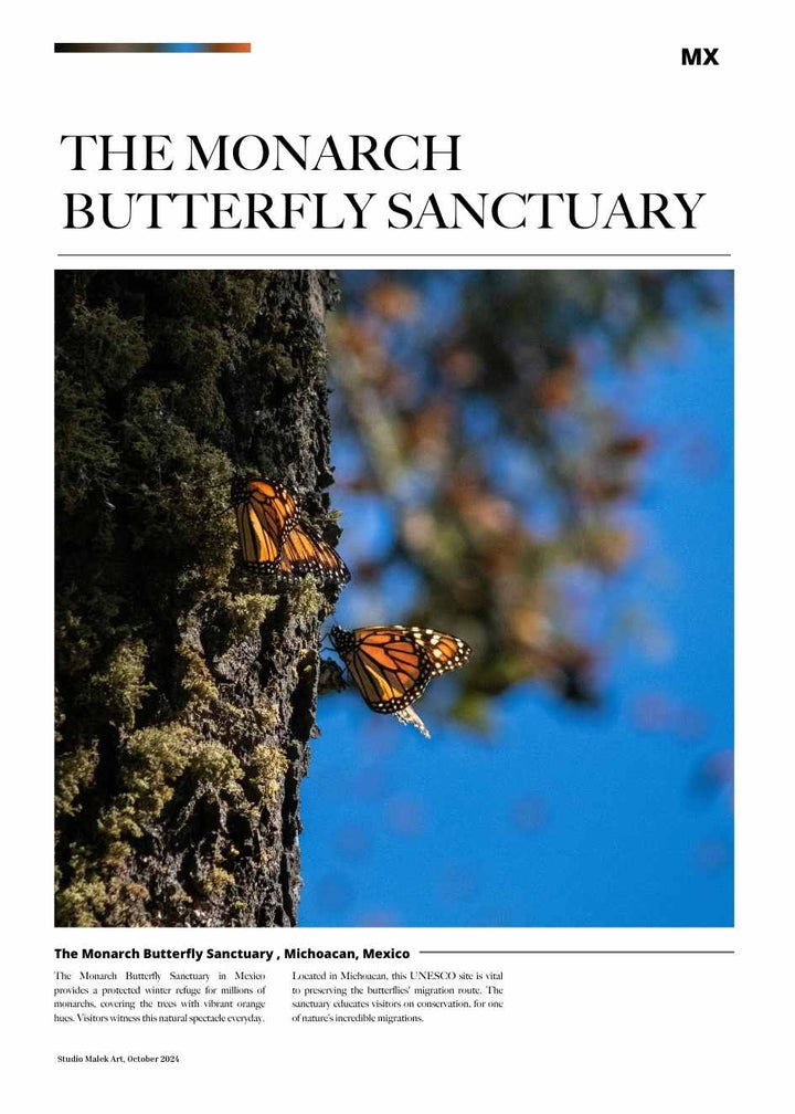 MONARCH SANCTUARY ARTICLE