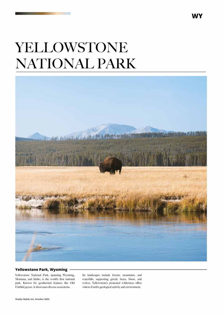 YELLOWSTONE ARTICLE